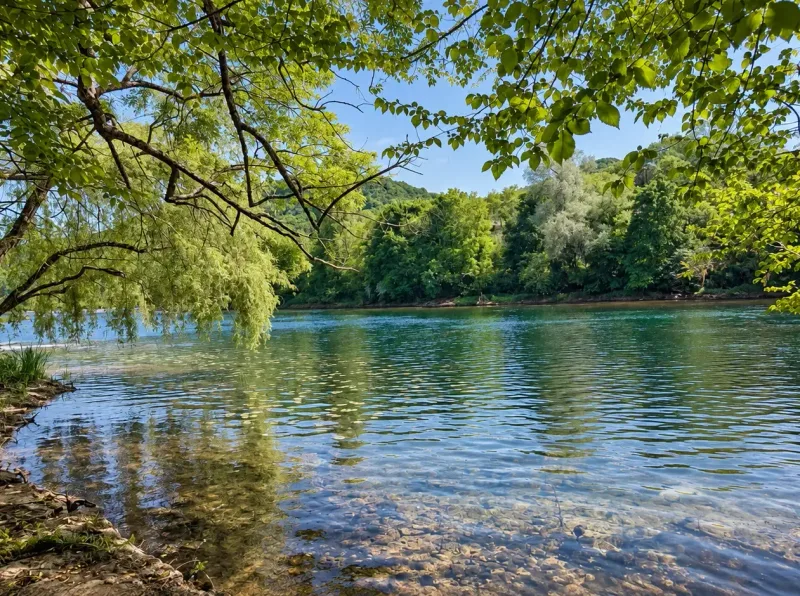 Le Doubs bordé par la forêt à Avanne-Aveney
