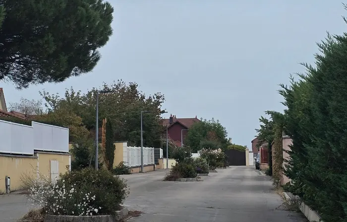 Rue résidentielle calme aux Essarts, entre haies et maisons